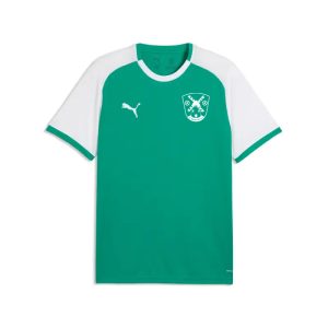 2026-01 - Trainingstrikot kurz